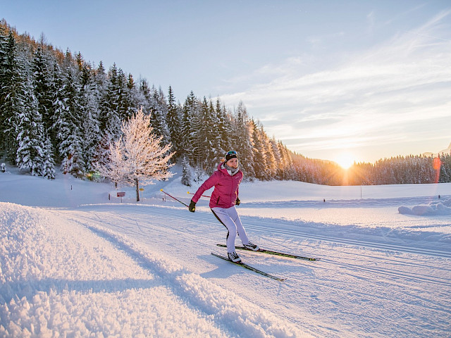 Cross-country skiing paradise